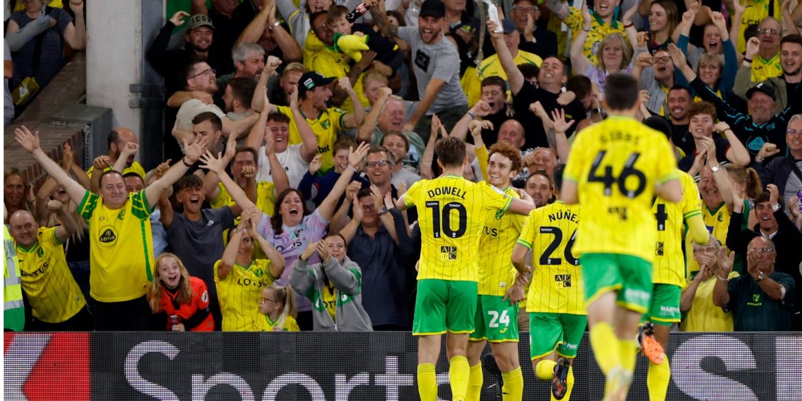 Bid made: Norwich receive formal offer for £4 million-rated midfield "lion"